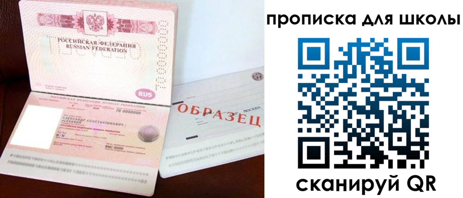 прописка для школы в Новом Осколе